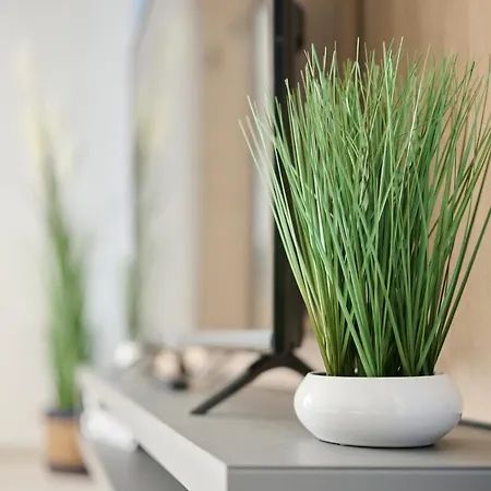 Mirabilis 公寓 乌马格