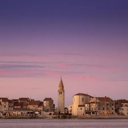 Mirabilis * Umag