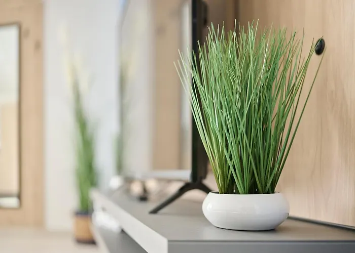 Mirabilis Apartamento Umag