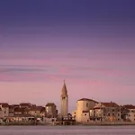 Mirabilis * Umag